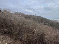 Eladó mezogazdasagi ingatlan, Balatonkenesén 59 M Ft