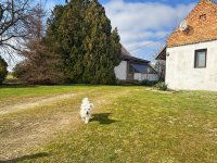 Eladó mezogazdasagi ingatlan, Szatymazon 31.6 M Ft, 3 szobás