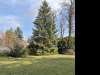 Eladó telek, III. kerületben 349 M Ft / költözzbe.hu