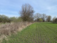 Eladó telek, Komáromban 5 M Ft / költözzbe.hu