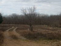 Eladó mezogazdasagi ingatlan