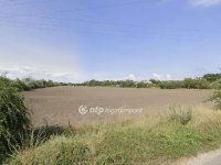 Eladó mezogazdasagi ingatlan, Szigetszentmiklóson 65 M Ft