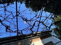 Eladó családi ház, XX. kerületben 84.5 M Ft, 3 szobás