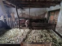 Eladó mezogazdasagi ingatlan, Kőröstetétlenen 9.5 M Ft, 2 szobás