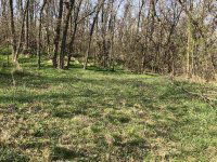 Eladó mezogazdasagi ingatlan, Zalaszentgróton 12 M Ft