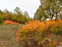 Eladó telek, Pécselyen 19.99 M Ft / költözzbe.hu