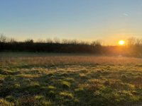 Eladó telek, Felpécen 8.8 M Ft / költözzbe.hu