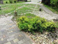 Eladó családi ház, Kecskeméten 90 M Ft, 4 szobás