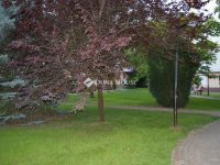 Kiadó téglalakás, albérlet