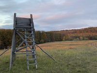 Eladó ipari ingatlan