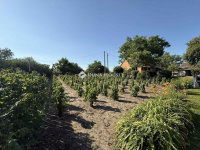 Eladó családi ház, Kecskeméten 54.9 M Ft, 2 szobás