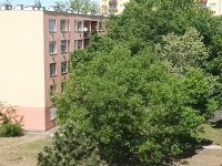 Eladó téglalakás, Kecskeméten 43.9 M Ft, 2 szobás