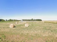 Eladó mezogazdasagi ingatlan, Kiscsőszön 8 M Ft