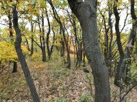 Eladó telek, Pécselyen 24.99 M Ft / költözzbe.hu