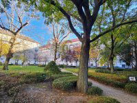 Eladó téglalakás, VIII. kerületben 89.75 M Ft, 3 szobás