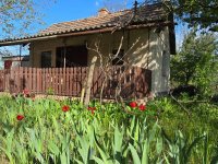 Eladó mezogazdasagi ingatlan, Szelevényen 4.2 M Ft, 1 szobás