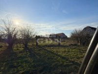 Eladó mezogazdasagi ingatlan, Sárbogárdon 125 M Ft