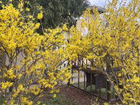 Eladó családi ház, III. kerületben 119.9 M Ft, 4 szobás