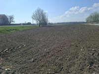 Eladó telek, Taksonyon 155 M Ft / költözzbe.hu