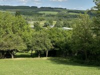 Eladó mezogazdasagi ingatlan, Zalacsányon 9.99 M Ft