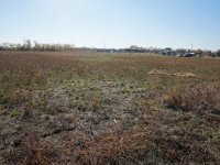 Eladó mezogazdasagi ingatlan, Tiszaszigeten 80 M Ft