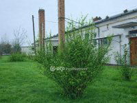 Eladó ipari ingatlan, Füzesabonyban 69.9 M Ft