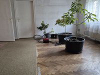 Eladó családi ház, Keszthelyen 74.9 M Ft, 4 szobás