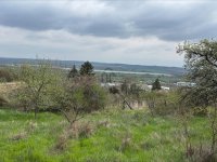 Eladó telek, Cserkúton 6.5 M Ft / költözzbe.hu
