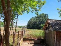 Eladó mezogazdasagi ingatlan, Lajosmizsén 99 M Ft