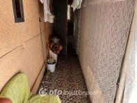 Eladó családi ház, Sajóörösön 9.9 M Ft, 2+1 szobás