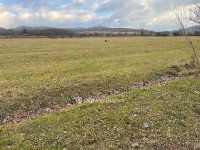 Eladó telek, II. kerületben 35 M Ft / költözzbe.hu