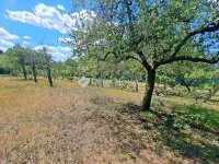 Eladó családi ház, Gyömrőn 79.9 M Ft, 3 szobás