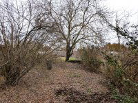 Eladó családi ház, Debrecenben 37.9 M Ft, 1 szobás