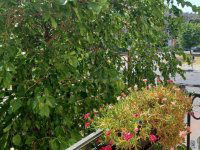 Eladó téglalakás, XIV. kerületben 104.9 M Ft, 3 szobás