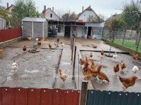 Eladó családi ház, Hajdúhadházon 69.9 M Ft, 2+2 szobás