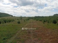 Eladó telek, Balatonszőlősön 24 M Ft / költözzbe.hu