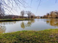 Eladó családi ház, Herencsényben 21.9 M Ft, 3 szobás