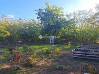 Eladó családi ház, Dánszentmiklóson 55.5 M Ft, 3 szobás