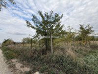 Eladó telek, Nyergesújfaluban 4 M Ft / költözzbe.hu