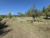 Eladó telek, Vácon 150 M Ft / költözzbe.hu