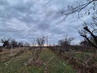 Eladó telek, Sülysápon 19.999 M Ft / költözzbe.hu