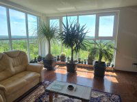 Eladó családi ház, Tárnokon 185 M Ft, 2 szobás