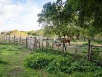 Eladó mezogazdasagi ingatlan, Kerepesen 75 M Ft, 3 szobás