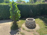 Eladó családi ház, Palkonyán 137 M Ft, 6 szobás