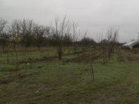 Eladó mezogazdasagi ingatlan, Békésen 11.2 M Ft, 2 szobás