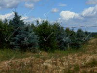 Eladó telek, Ramocsán 6.5 M Ft / költözzbe.hu