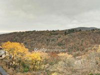 Eladó téglalakás, XII. kerületben 189 M Ft, 3+1 szobás