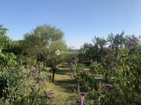 Eladó telek, XXII. kerületben 204.96 M Ft / költözzbe.hu