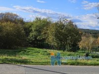 Eladó mezogazdasagi ingatlan, Söjtörön 4.49 M Ft