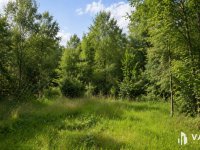 Eladó mezogazdasagi ingatlan, Debrecenben 2.5 M Ft